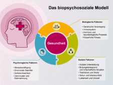 Eine Grafik zum biopsychosozialem Modell. In der Mitte ist ein Kreis zu sehen mit dem Wort "gesundheit". Herum sind drei Felder mit den Überschriften "Biologische", "Psychologische" und "Soziale Faktoren".