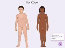 Die gezeichnete Grafik zeigt frontal den nackten Körper einer männlichen und einer weiblichen Person.
