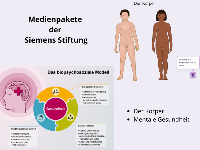 Hellvioletter Hintergrund, links untern Grafik zu Das biopsychosoziale Modell, rechts oben Grafik zu Der Körper