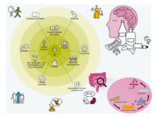Grafik mit konzentrischen Kreisen um die Mitte "Ich" und verschiedenen sozialen Gruppen sowie einer schematischen Darstellung von Gehirn mit Pillen, Spielekonsole und Flaschen, Darm und Bakterien.